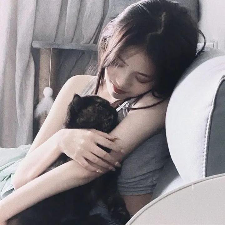猫狗大战3：爪爪集结！ 在线观看